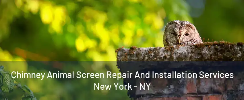 Chimney Animal Screen Repair And Installation Services New York - NY