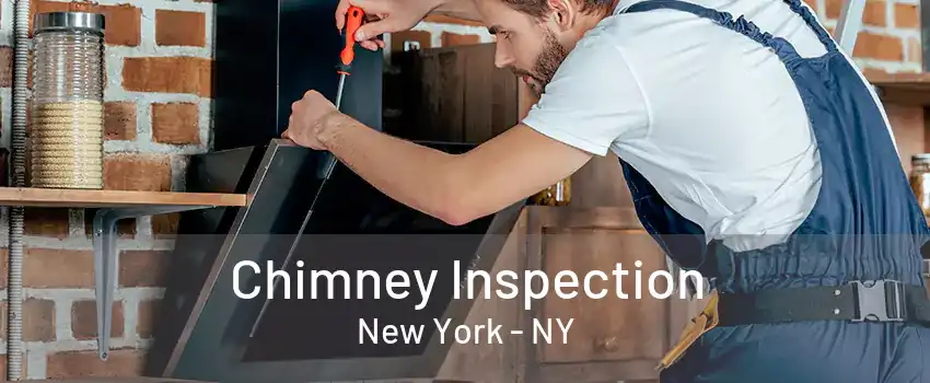 Chimney Inspection New York - NY