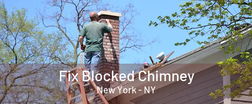 Fix Blocked Chimney New York - NY